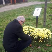 Zobacz w powiększeniu: Narodowe Święto Niepodległości - 11 listopada 2020 r. (15)